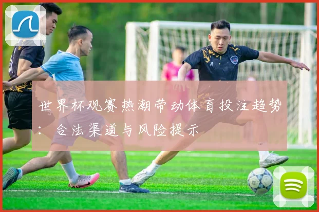 世界杯观赛热潮带动体育投注趋势：合法渠道与风险提示