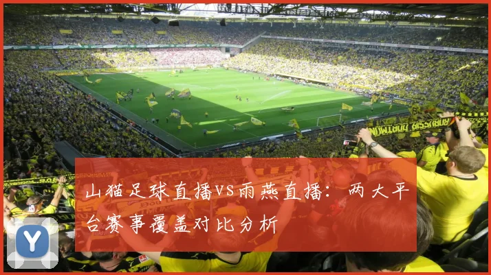 山猫足球直播vs雨燕直播：两大平台赛事覆盖对比分析