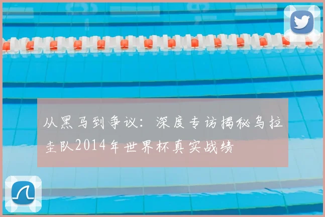 从黑马到争议：深度专访揭秘乌拉圭队2014年世界杯真实战绩