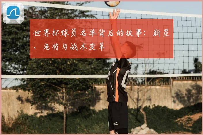 世界杯球员名单背后的故事：新星、老将与战术变革